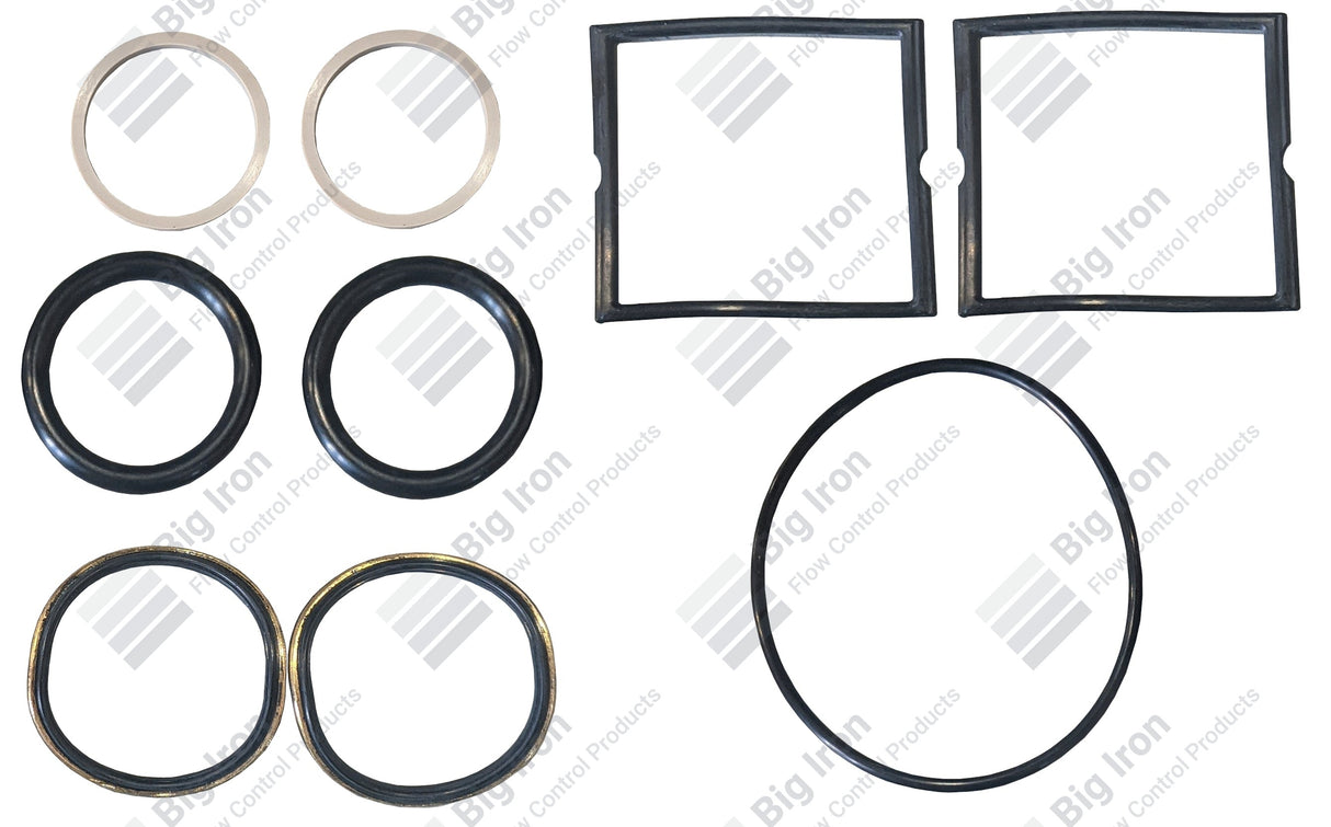 Plug Valve Repair Kit, Minor, FMC ULT150, 2" 1502, STD Service, NOE